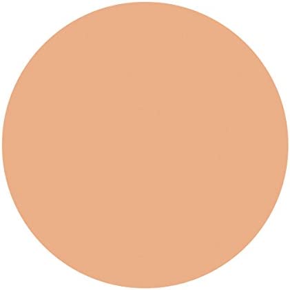 Shiseido Spotscover Foundation - WAFUU JAPAN