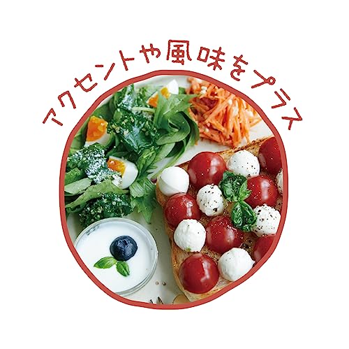 SNOOPY Pepper mill - WAFUU JAPAN