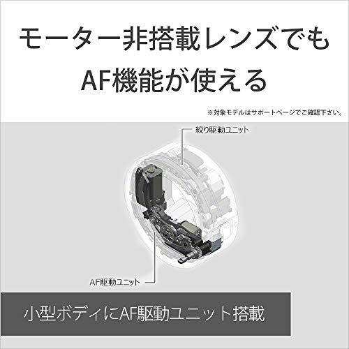 SONY Mount Adapter LA-EA5 for E-Mount Cameras 35mm Full Size Sensor - WAFUU JAPAN