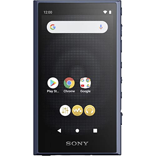 SONY Walkman 32GB A300 Series NW-A306 Blue LC : Wireless also Hi-Res Wireless / Streaming - WAFUU JAPAN