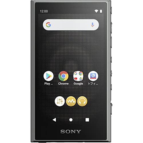 SONY Walkman 32GB A300 Series NW-A306 : Wireless also Hi-Res Wireless / Gray HC - WAFUU JAPAN