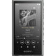 SONY 소니 워크맨 32GB A300 시리즈 NW-A306 그레이 HC
