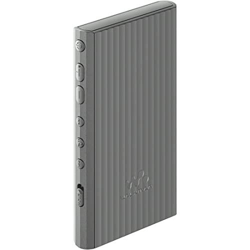 SONY Walkman 32GB A300 Series NW-A306 : Wireless also Hi-Res Wireless / Gray HC - WAFUU JAPAN