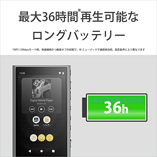 SONY Walkman 32GB A300 Series NW-A306 : Wireless also Hi-Res Wireless / Gray HC - WAFUU JAPAN
