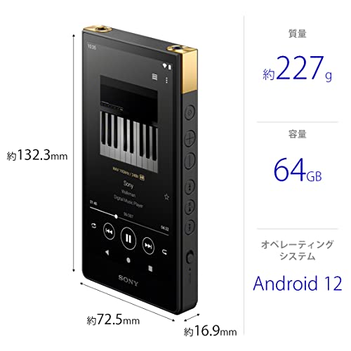 SONY Walkman 64GB ZX Series NW-ZX707 : High-end streaming WALKMAN - WAFUU JAPAN