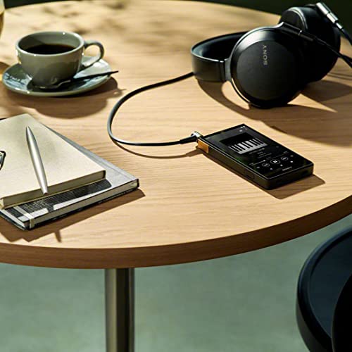 SONY Walkman 64GB ZX Series NW-ZX707 : High-end streaming WALKMAN - WAFUU JAPAN