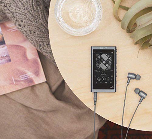 Sony Walkman A Series 16GB NW-A55 Bluetooth microSD Greyish Black - WAFUU JAPAN