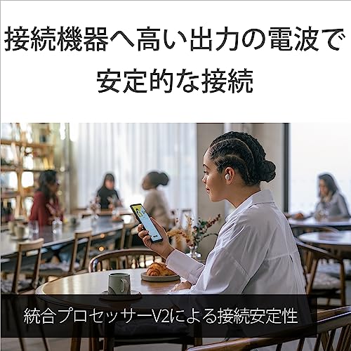 Sony Wireless Noise Canceling Earphone WF-1000XM5 - WAFUU JAPAN