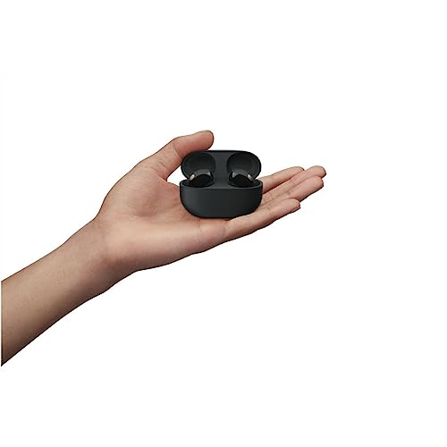 Sony Wireless Noise Canceling Earphone WF-1000XM5 - WAFUU JAPAN