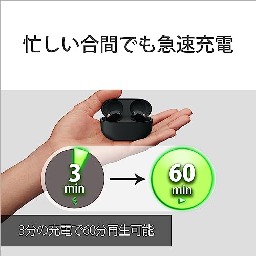 Sony Wireless Noise Canceling Earphone WF-1000XM5 - WAFUU JAPAN