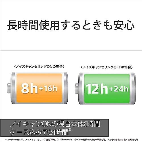 Sony Wireless Noise Canceling Earphone WF-1000XM5 - WAFUU JAPAN