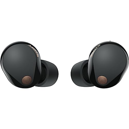 Sony Wireless Noise Canceling Earphone WF-1000XM5 - WAFUU JAPAN