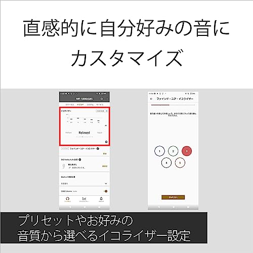 Sony Wireless Noise Canceling Earphone WF-1000XM5 - WAFUU JAPAN