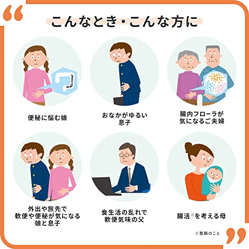 Taisho Pharmaceutical New Biofermin S 540 Tablets - WAFUU JAPAN