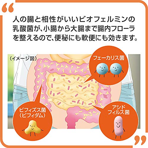 Taisho Pharmaceutical New Biofermin S 540 Tablets - WAFUU JAPAN