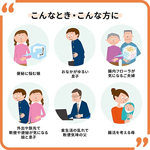 Taisho Shin Biofermin S 540 Tablets - WAFUU JAPAN