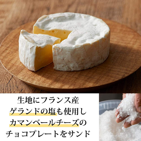 Tokyo Milk Cheese Factory Salt & Camembert Cookies 10pcs - WAFUU JAPAN