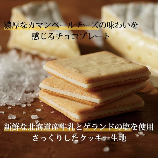 Tokyo Milk Cheese Factory Salt & Camembert Cookies 10pcs - WAFUU JAPAN