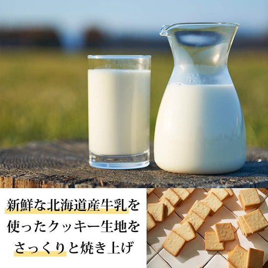 Tokyo Milk Cheese Factory Salt & Camembert Cookies 10pcs - WAFUU JAPAN