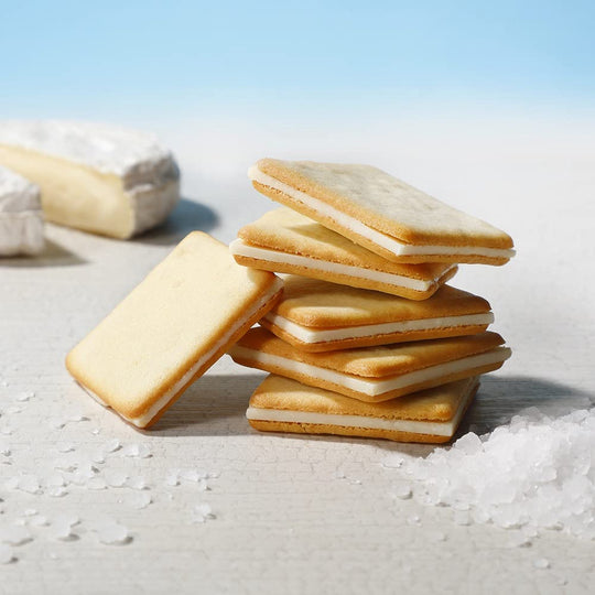 Tokyo Milk Cheese Factory Salt & Camembert Cookies 10pcs - WAFUU JAPAN