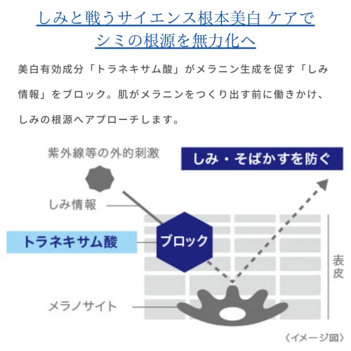 Transino Whitening Stick 5.3g - WAFUU JAPAN