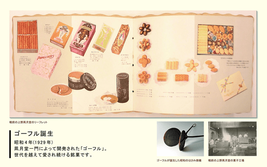 Ueno Fugetsudo Petit Gaufre 2 pieces x 18 bags FPGN-15Z - WAFUU JAPAN