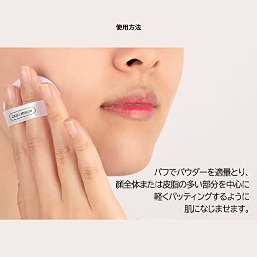 VTCOSMETICS CICA No-Sebum Powder 5g - WAFUU JAPAN