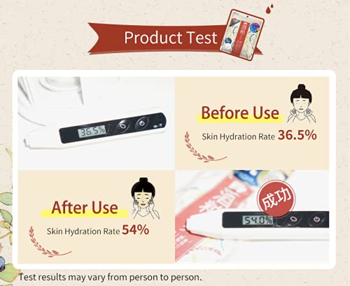 Wahood Maid Sake Facial Mask 10pcs - WAFUU JAPAN