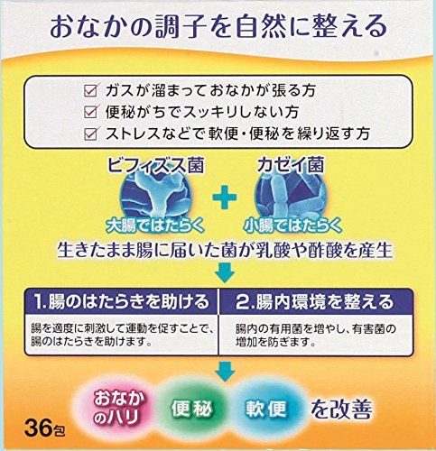 Yakult BL Gastrointestinal Medicine 36 Pack - WAFUU JAPAN