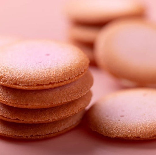 YOKU MOKU Cherry Blossom Chocolate Sandwich - WAFUU JAPAN