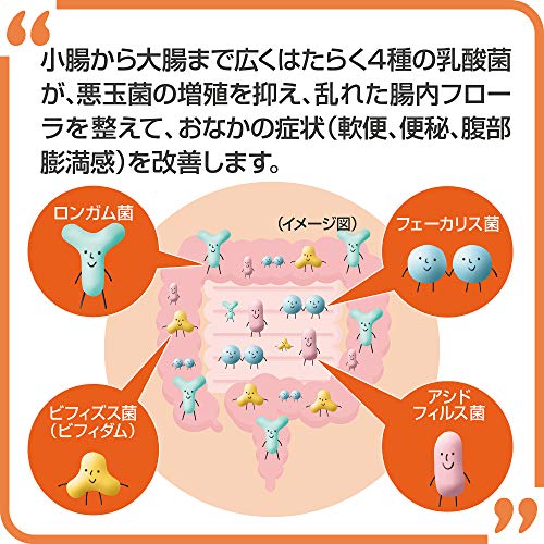 타이쇼 뉴 바이오퍼민 S 플러스 프로바이오틱 보충제 550정 소화 건강