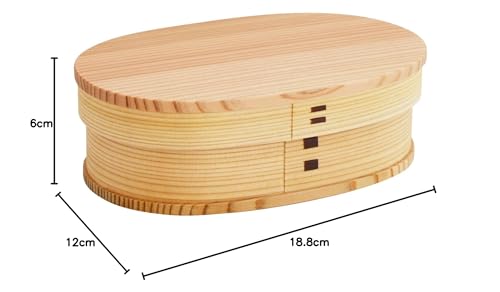 Akita Cedar Bentwood Bento Box Medium Made in Japan - WAFUU JAPAN