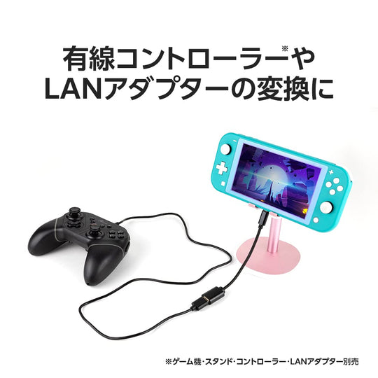 Answer USB connector for Nintendo Switch - WAFUU JAPAN