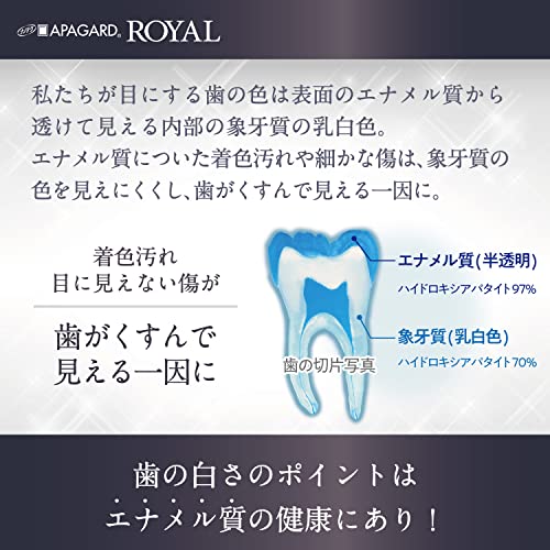 APAGUARD Tooth Paste Royal 135g - WAFUU JAPAN