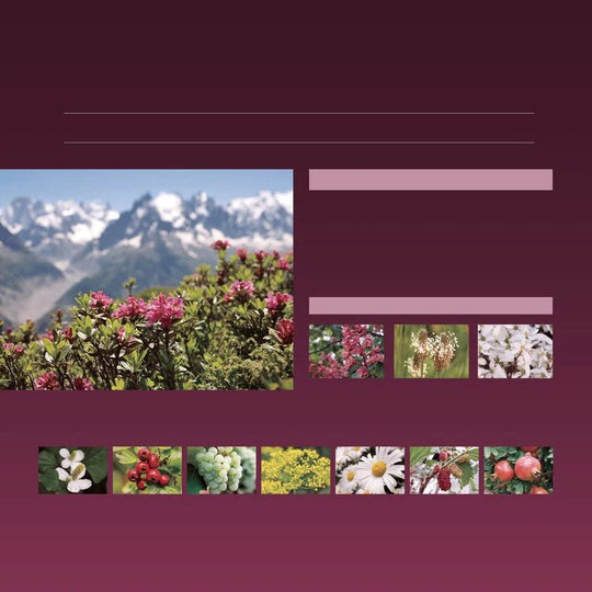 AXXZIA AGTHEORY Silky Emulsion Sample set of 3 sheet - WAFUU JAPAN