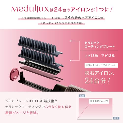 AXXZIA Medulux comb iron 100 - 240V - WAFUU JAPAN