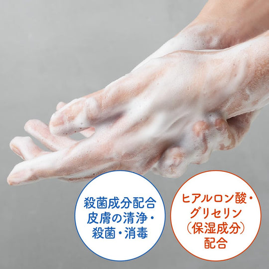 Biore The Hand Foaming Soap Herbal Wood Scent Pump 280ml - WAFUU JAPAN