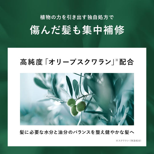 BOTANIST Botanical Hair Oil [Moist] 80ml - WAFUU JAPAN