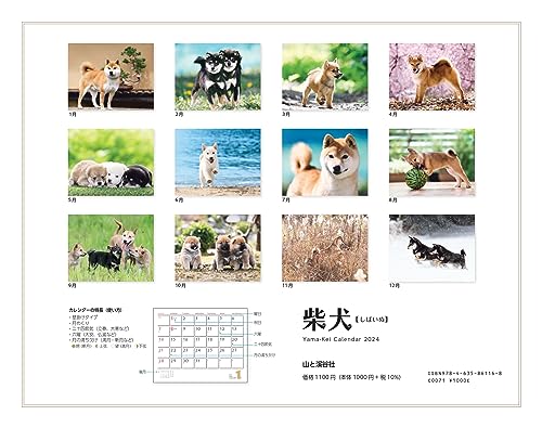 Calendar 2024 Shiba Inu (Monthly Calendar/Wall Hanging) - WAFUU JAPAN