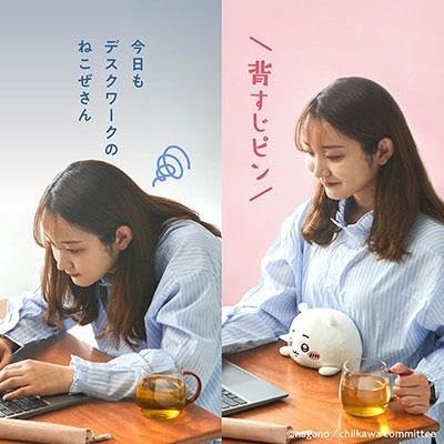 Chiikawa Funbaruzu Hunched - Cat Funbarz Plush Doll Posture - WAFUU JAPAN