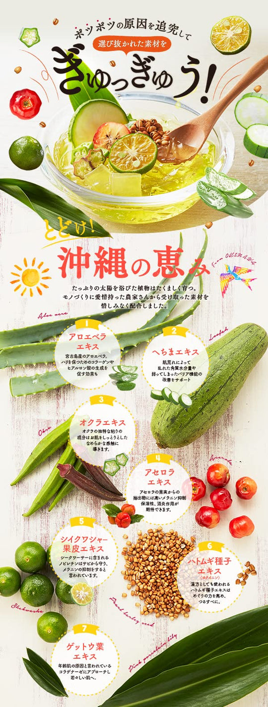 Churacos Warabihada All - in - One Organic Gel Hyaluronic Acid Placenta 30g - WAFUU JAPAN