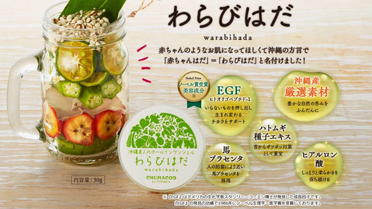 Churacos Warabihada All - in - One Organic Gel Hyaluronic Acid Placenta 30g - WAFUU JAPAN