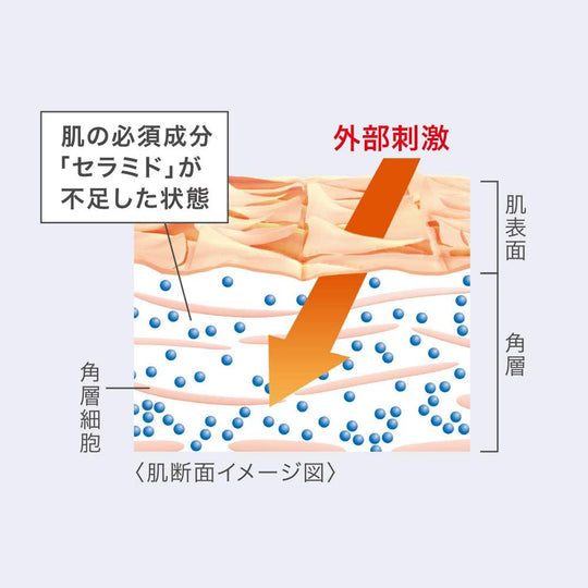 Curel Medicated Moisture Face Cream 40g - WAFUU JAPAN