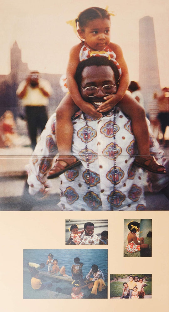 Curtis Mayfield (Analog) LP VINYL - WAFUU JAPAN