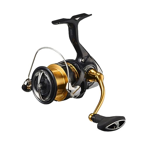 DAIWA Spinning Reel 23 Regalis LT3000 - CXH - WAFUU JAPAN