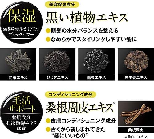 DHC Black Conditioning Shampoo - WAFUU JAPAN