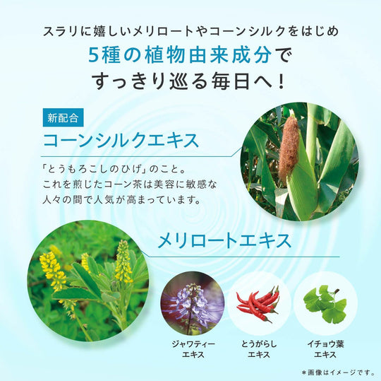 DHC Melilot Plus 60 Tablets - WAFUU JAPAN