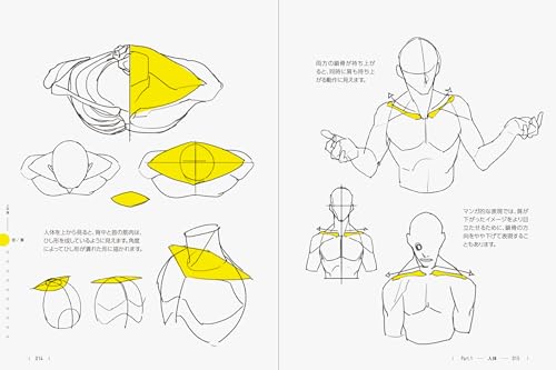 Direct from TACO! 390 tips for drawing the human body that you can dramatically improve just by knowing them - WAFUU JAPAN