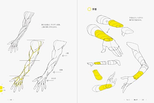 Direct from TACO! 390 tips for drawing the human body that you can dramatically improve just by knowing them - WAFUU JAPAN