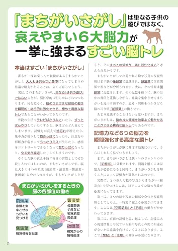 Everyday Brain Activity Special Shiba Inu - WAFUU JAPAN